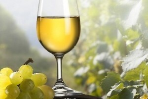 Hrvatski vinari uspješno nastupili na sajmu ProWein