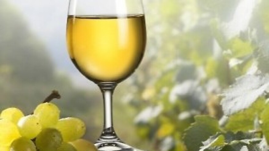 Hrvatski vinari uspješno nastupili na sajmu ProWein