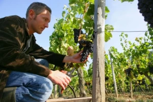 Natječaj za promidžbu vina u trećim zemljama