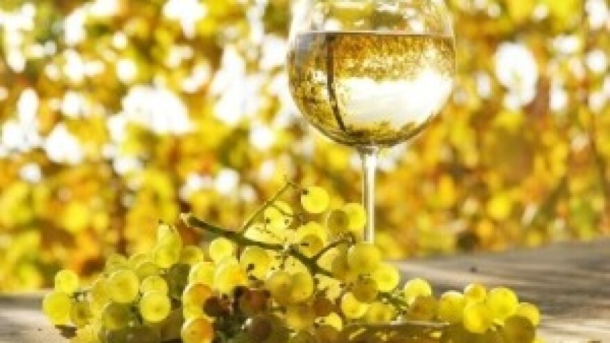 Festival malvazije u Poreču