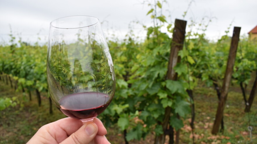 Dva hrvatska vina na listi top 100 najboljih na svijetu!