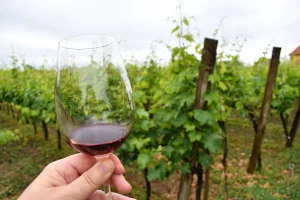 U vino dodavali šećer i vodu - među patvorenima i dva iz Hrvatske