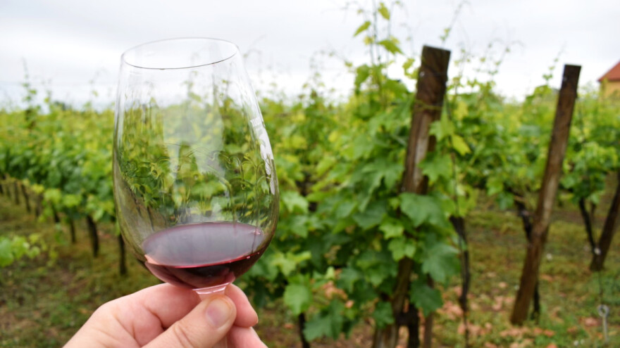 U vino dodavali šećer i vodu - među patvorenima i dva iz Hrvatske