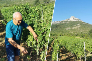 Cvitko Teskera: Od punionice vode do šampionskih vina