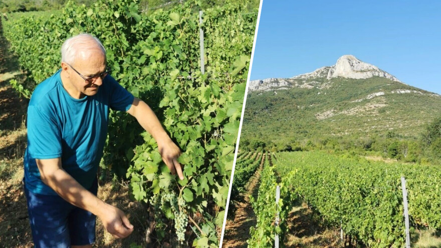 Cvitko Teskera: Od punionice vode do šampionskih vina