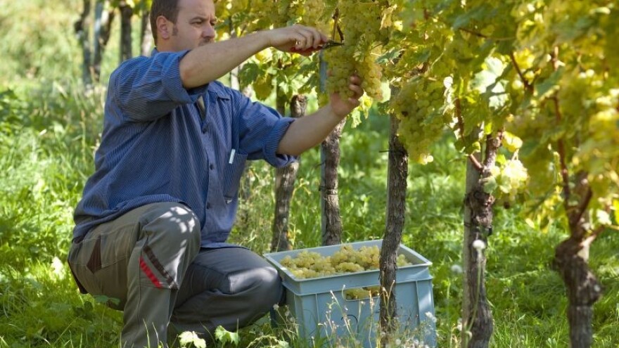 Ne žele da im se ponovi prošla godina!