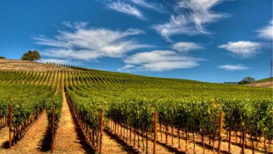 Zaštitite vinograde i voćnjake od korova