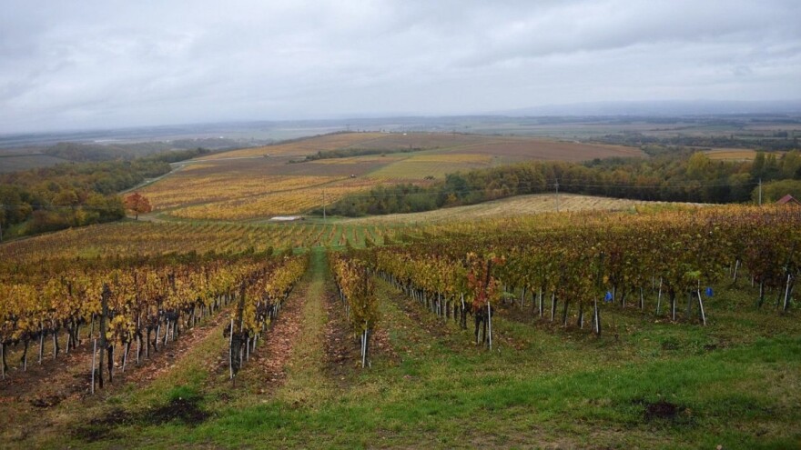 I pored sunčanih intervala, biće i dugotrajne magle
