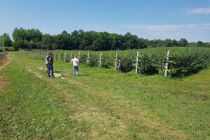 Nastavlja se promocija organskog uzgoja - priznavanje sertifikata na tržištu Srbije