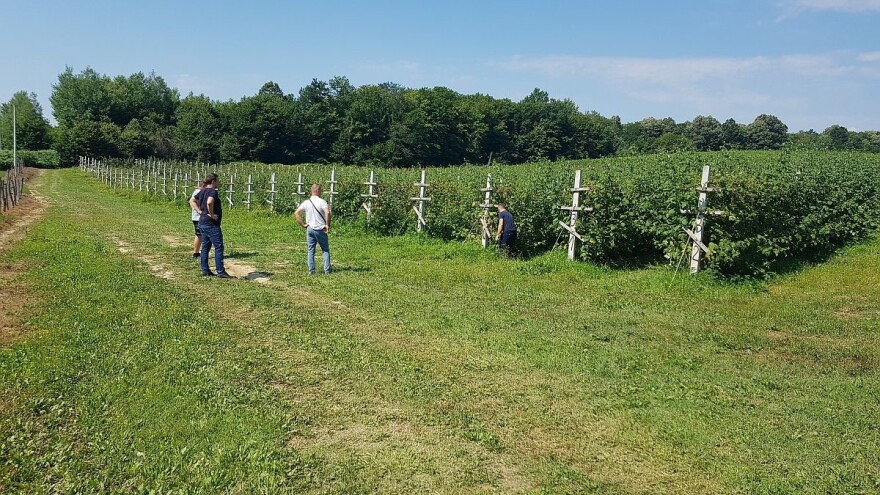 Nastavlja se promocija organskog uzgoja - priznavanje sertifikata na tržištu Srbije
