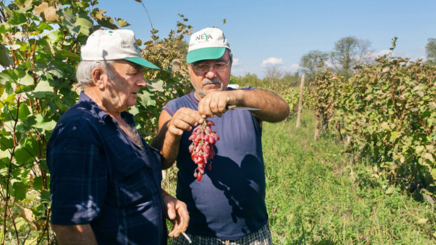 Organski proizvođači tražit će bar milion KM poticaja!