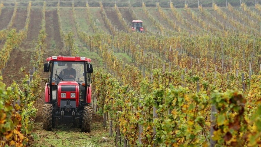 Zarađuju li više vinari ili vinogradari?