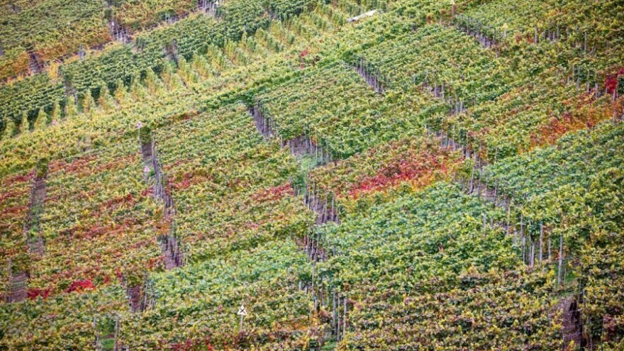 Novi natječaji za novac iz Vinske omotnice