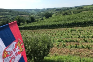 Milion dinara za oznake geografskog porekla