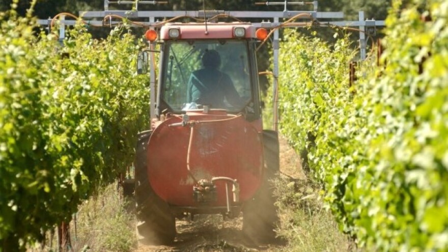 Najbolji čistač pepelnice vinove loze