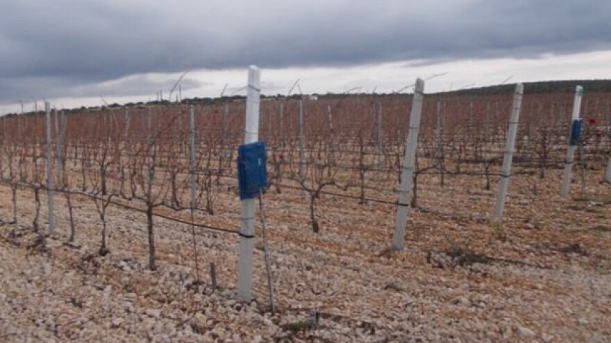 Za cijenu jednog kanadera kupimo 150 tisuća koza