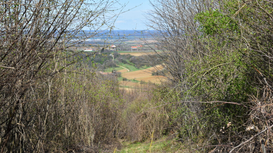 Stvara li 2,6 milijuna hektara šumskog zemljišta vrijednost na najbolji način?