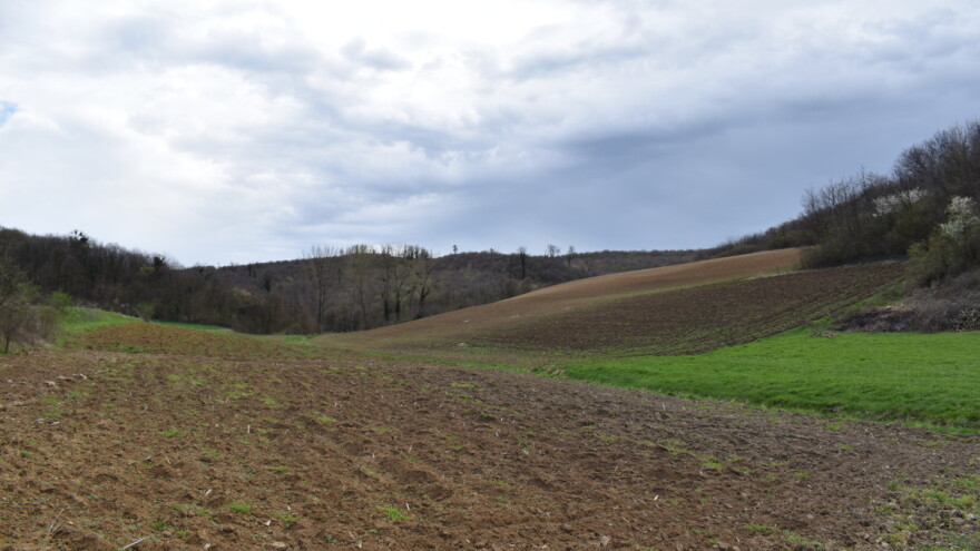 Objavljena 244 javna natječaja za zakup poljoprivrednog zemljišta, u pripremi još 84