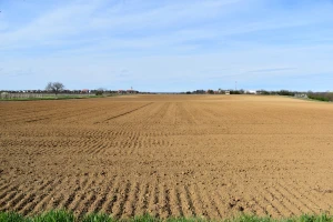 Klimatske promjene utječu i na sadržaj humusa u tlu. Kako ga zadržati?