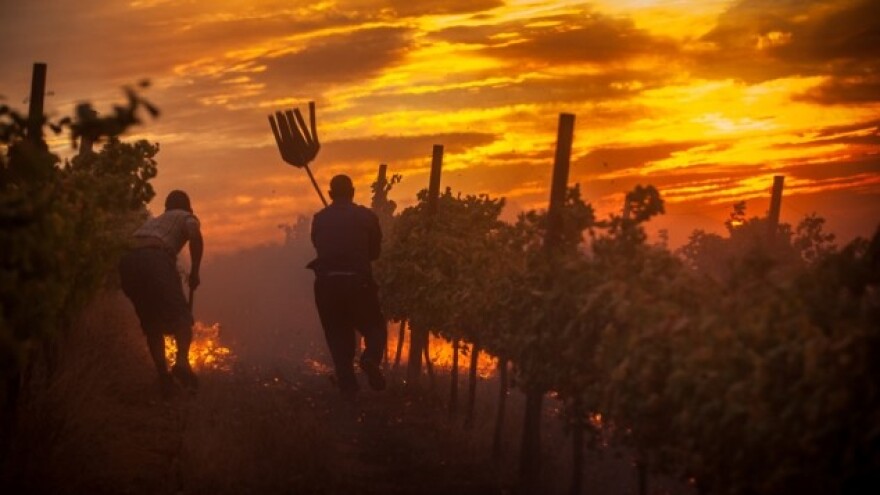 Financijska pomoć za opožarena područja!