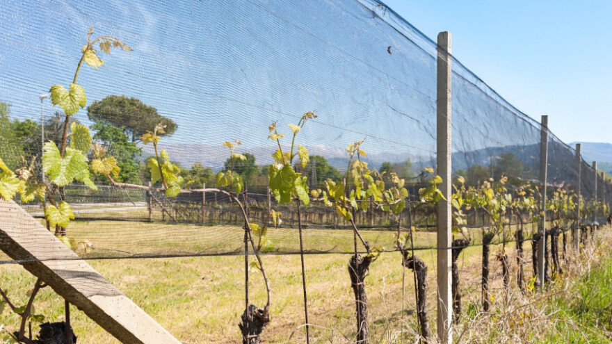 Novac za štete od mraza još se čeka