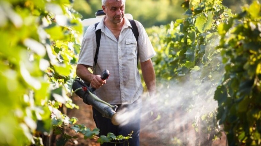 Bayer vinogradarski savjeti 2016.