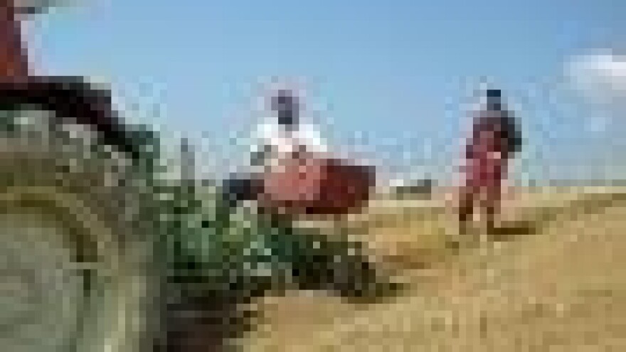 U Hrašćini vinograd sa 100.000 trsova