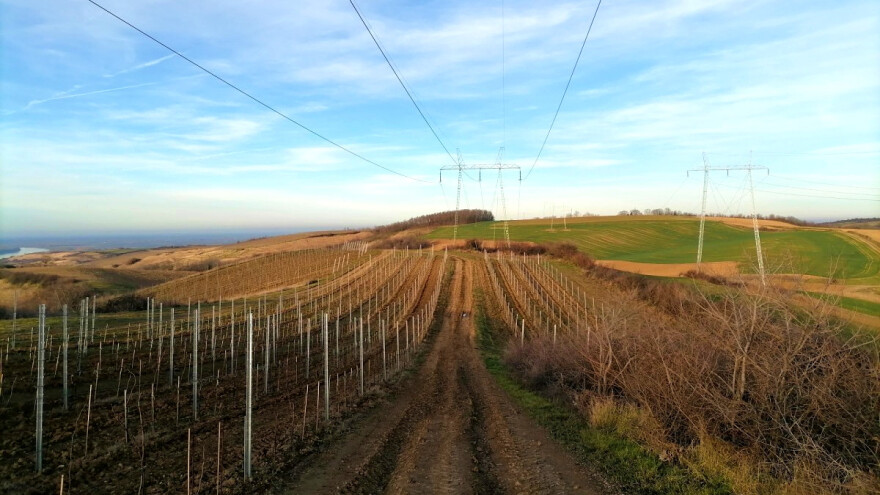Projektovanje đubrenja vinograda pomoću onlajn kalkulatora