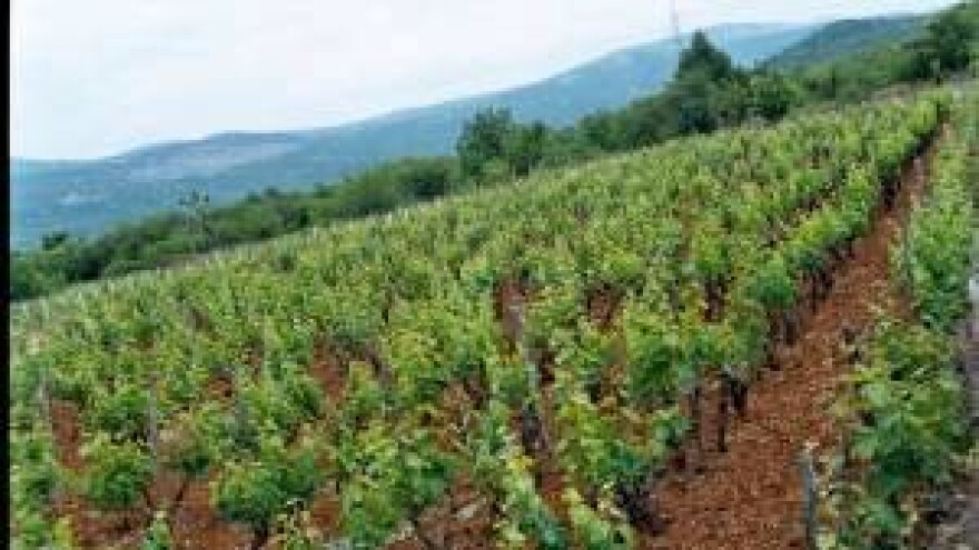 Mlade obitelji Zagore okreću se poljodjelstvu