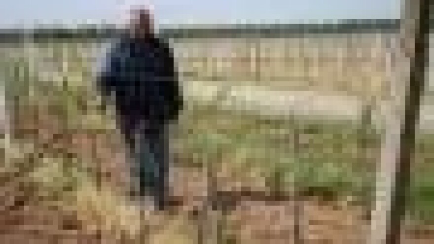 Izostala vegetacija na 100 ha mladih vinograda graševine