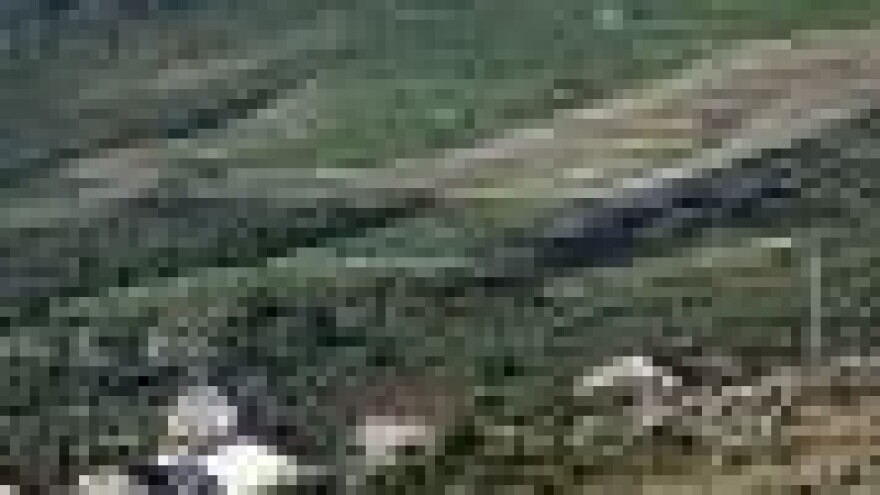 Vina Dubrovačkih podruma izlaze na njemačko tržište