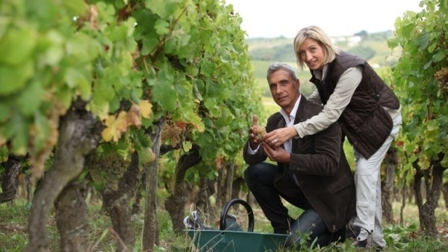 Erdutska vina na putu za Kinu