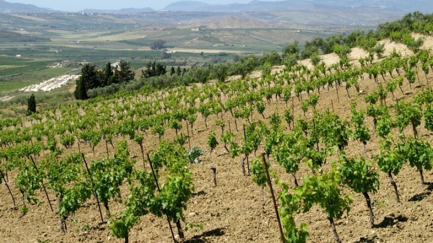 Osnivačka Skupština Mreže za održivi razvoj Hrvatske