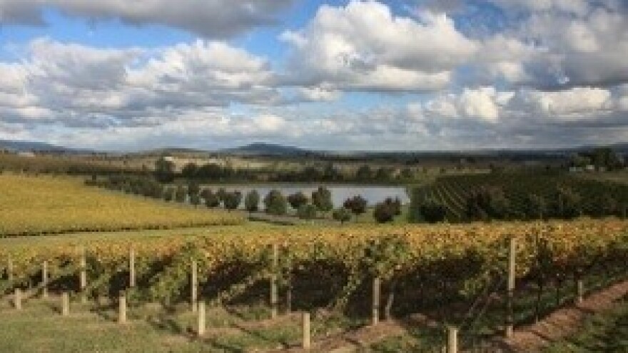 Koliko će ih koštati hrvatska birokracija?