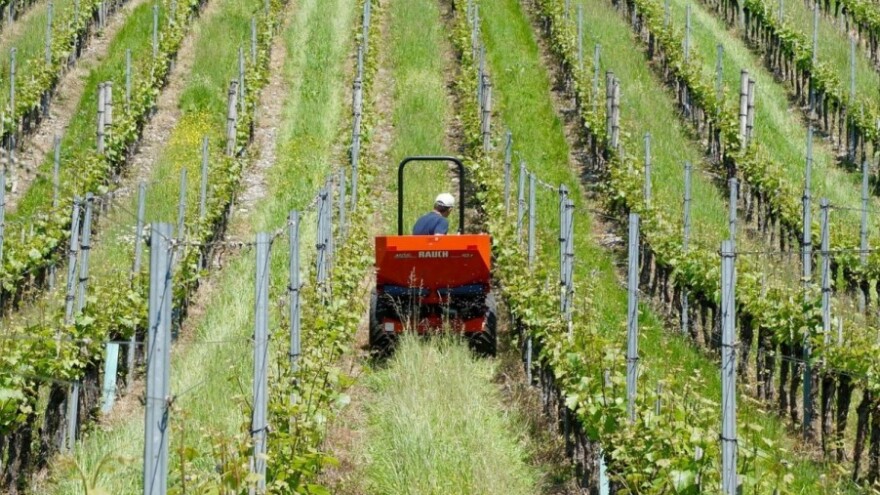 Milijun kuna iz IPARD-a za restrukturiranje gospodarstava