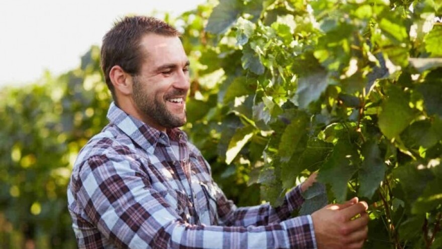 Kako uspješno pobijediti pepelnicu?