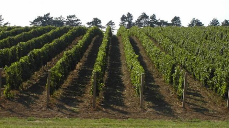 Tramincu nova odličja