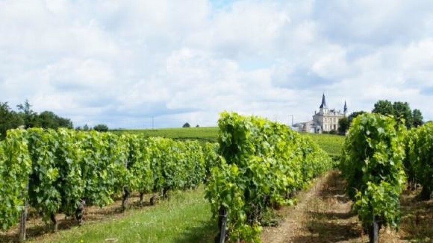 Obogaćena stoljetna vinska cesta