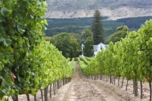 18. Sjednica o vinogradarstvu i voćarstvu