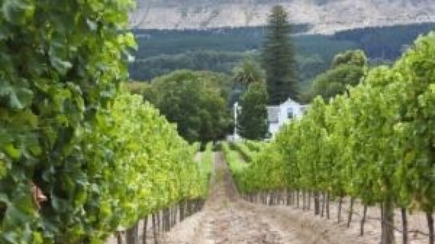 18. Sjednica o vinogradarstvu i voćarstvu