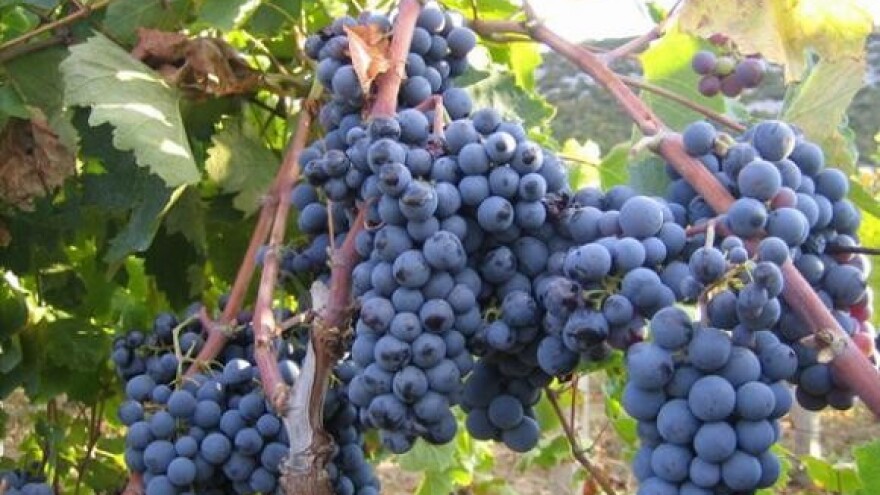 Skitnja turističkih novinara