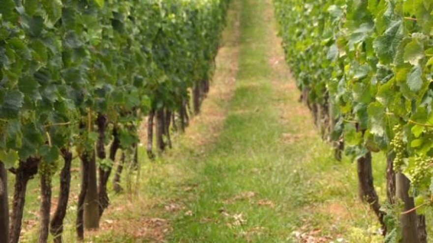 Talijanski ministar poljoprivrede Galan u posjetu Hrvatskoj