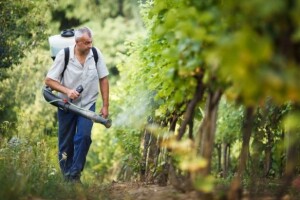 Dugotrajna zaštita voćnjaka i vinograda