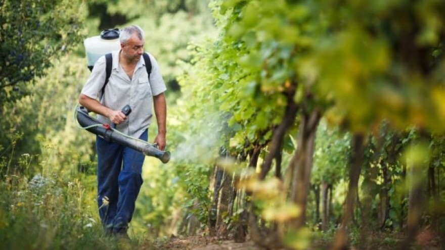 Dugotrajna zaštita voćnjaka i vinograda