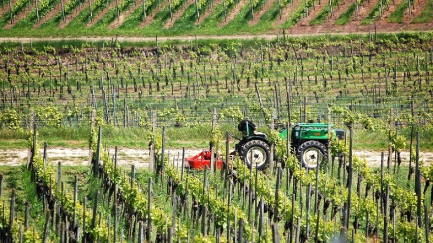 Završio na sudu jer odbija tretirati pesticidima