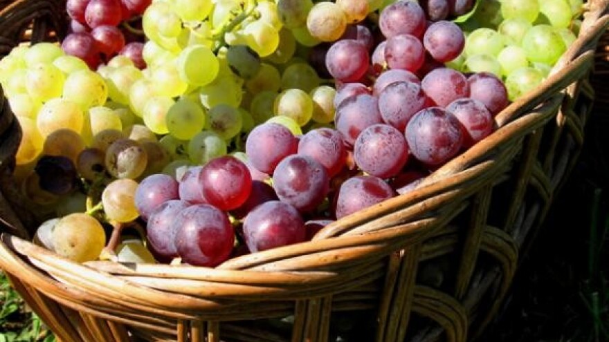 Iločkom tramincu svjetska nagrada