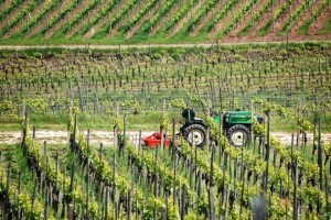 Završio na sudu jer odbija tretirati pesticidima