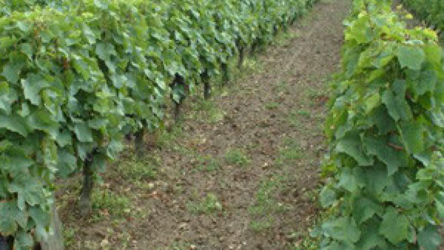 Okrupnjavanje poljoprivrednog zemljišta