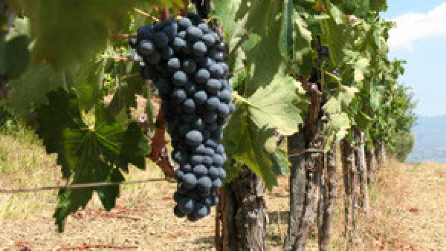 Poljoprivredno zemljište najtraženije na tržištu nekretnina