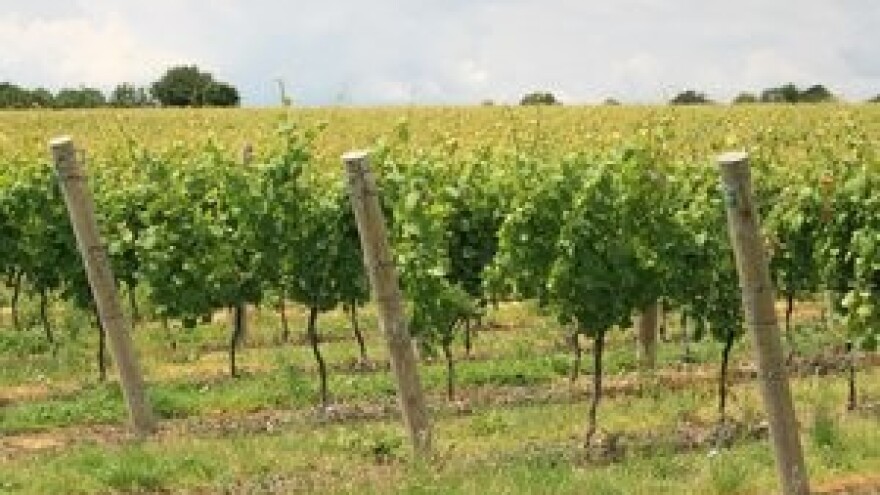 Izravnom pogodbom do državnog zemljišta